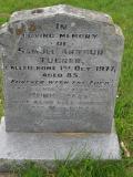 image of grave number 302483